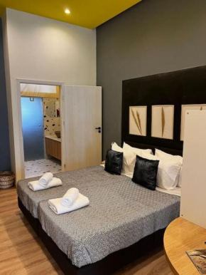 Modern Lux apartment Downtown